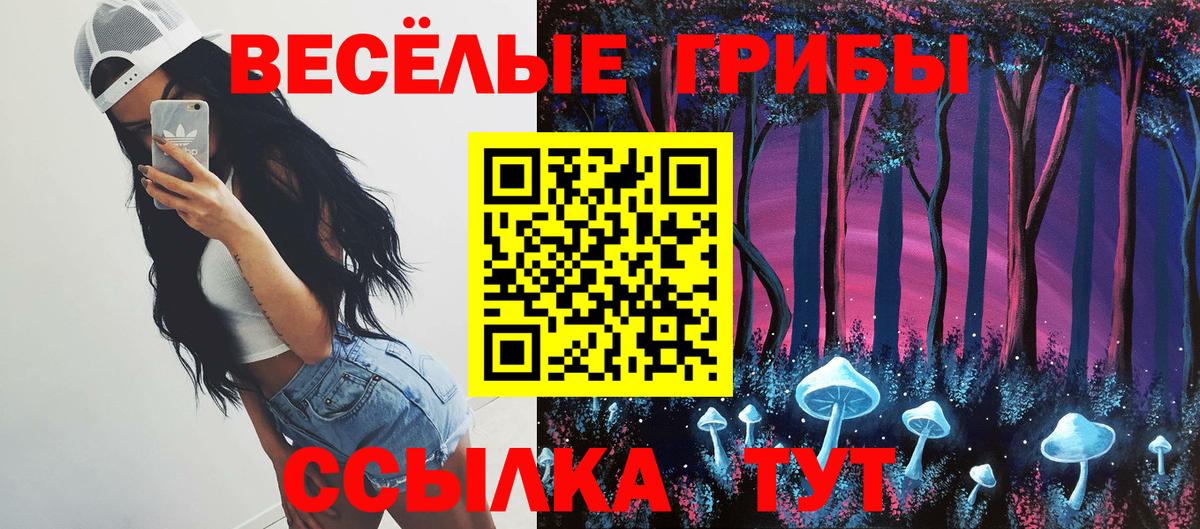 Псилоцибиновые грибы мицелий Ишимбай