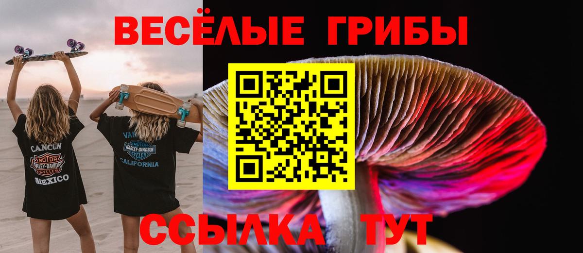 Ишимбай  Псилоцибиновые грибы MAGIC MUSHROOMS  Вход с VPN 