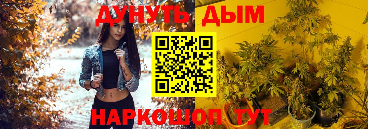 Каннабис семена  МАРИХУАНА AK-47  Канабис конопля  Ишимбай  Марихуана THC 21%  Вход с VPN 